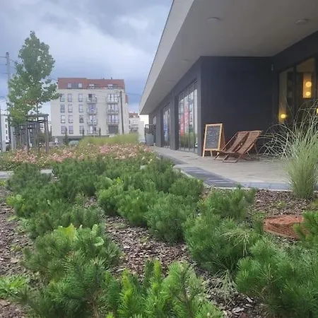 Appartement Olive Tree - Klimatyzacja - Air Conditioning-self-check-in Katowice