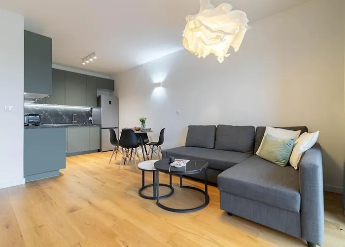 Olive Tree - Klimatyzacja - Air Conditioning-self-check-in Katowice